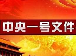 2020年中央1号文件：中共中央国务院关于抓好“三农”领域重点工作确保如期实现全面小康的意见 